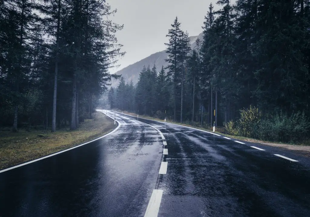 Road in the summer foggy forest in rain. Landscape